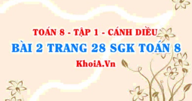 Bài 2 trang 28 SGK Toán 8 tập 1 Cánh Diều